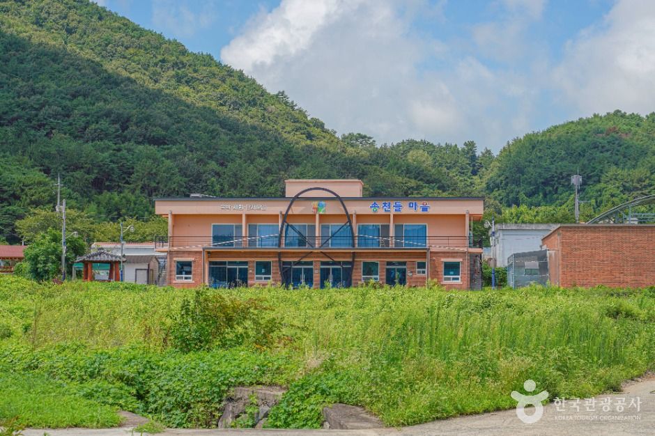 송천참다래마을