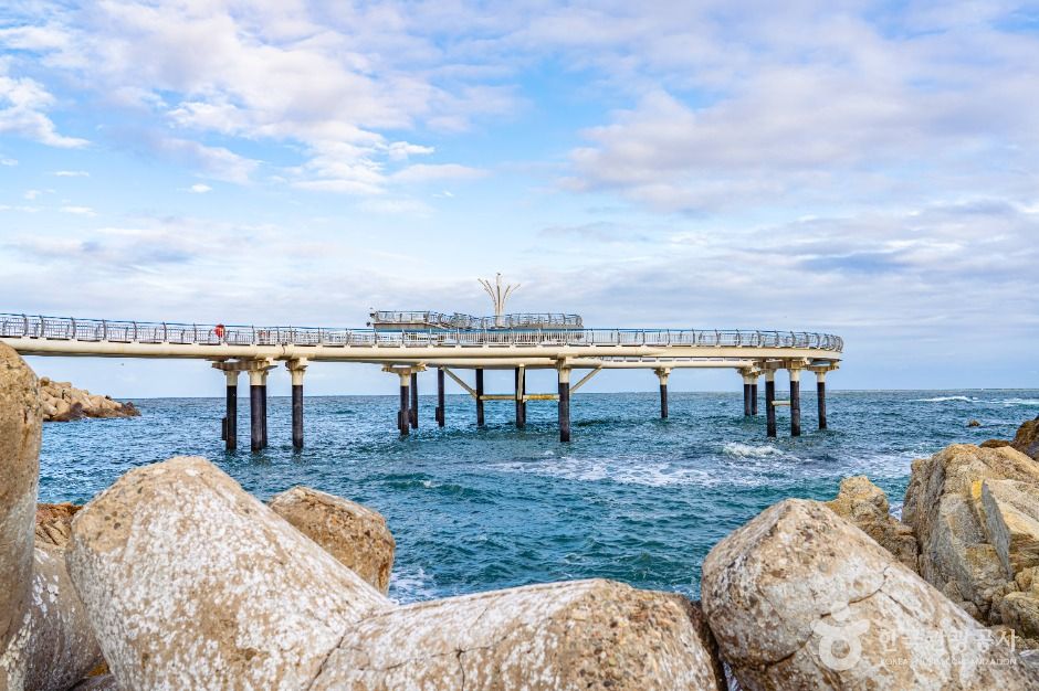 thumbnail-대진항(영덕)-1