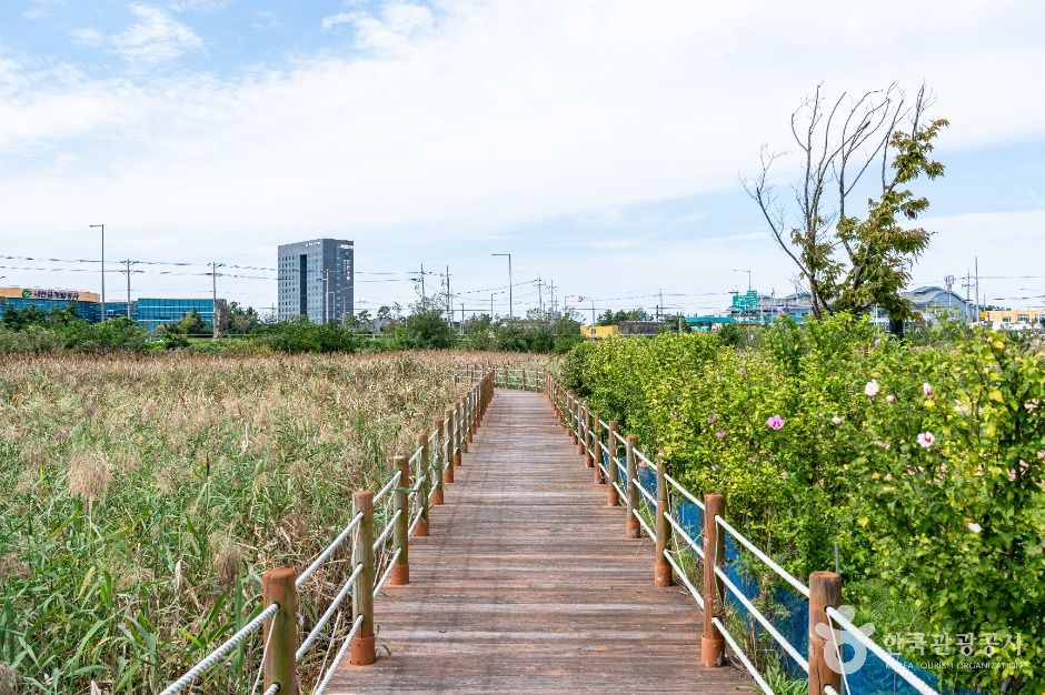 thumbnail-새만금어린이랜드-7