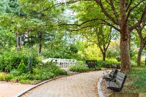 서울_여의도공원 (4)