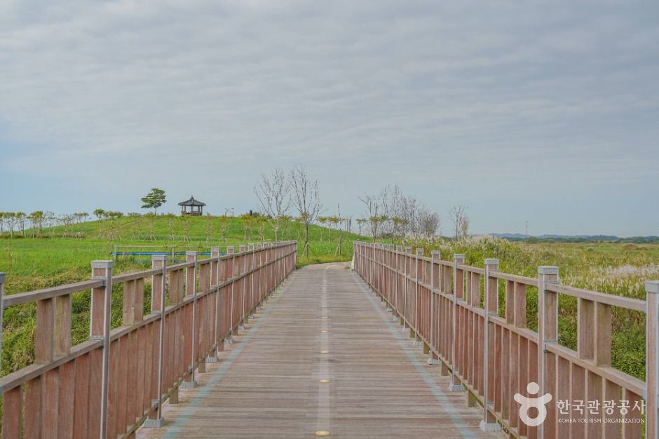 김제_새만금 광역탐방로 (5)