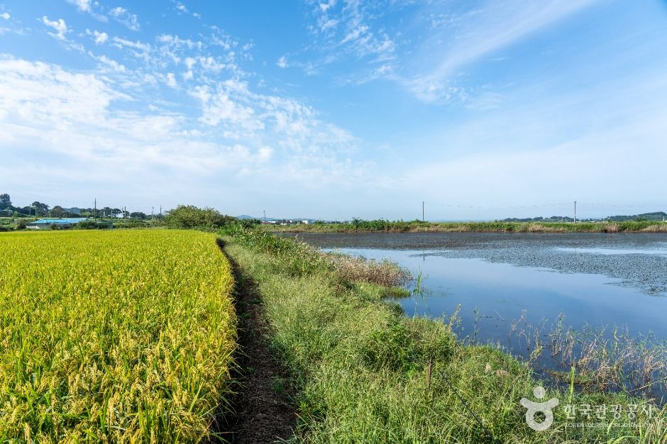 서산_고북신송지 (2)