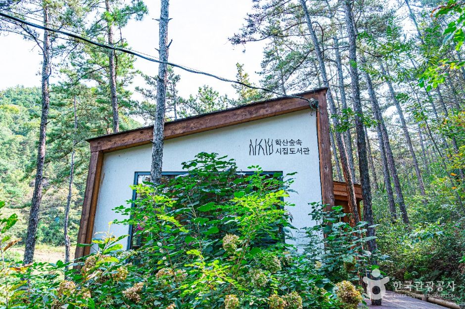 전주_학산숲속시집도서관 (6)