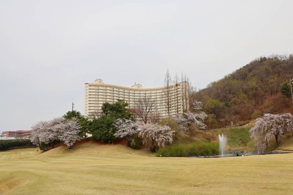 라비돌컨트리클럽