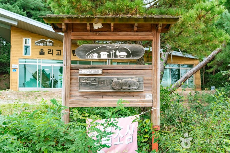 단호박올리고마을