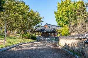 장성_홍길동 테마파크 (5)