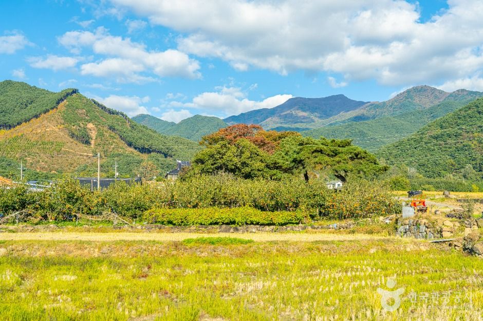 thumbnail-방광마을-4