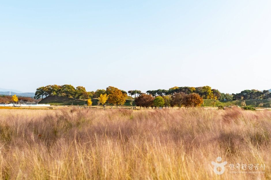 경주 동부 사적지대