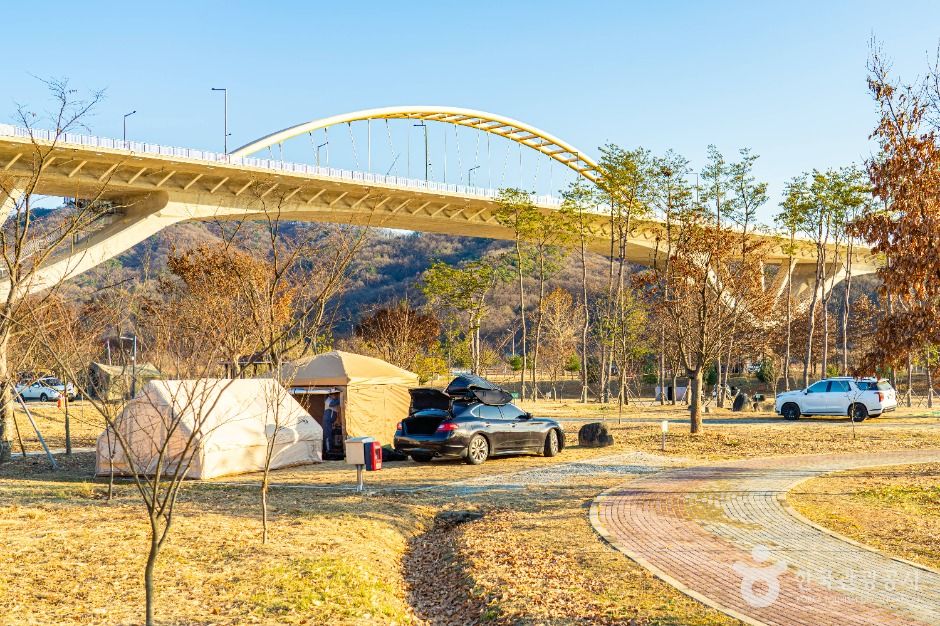 세종_합강공원 오토캠핑장 (7)