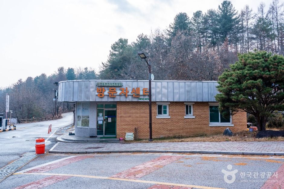 안동호반자연휴양림