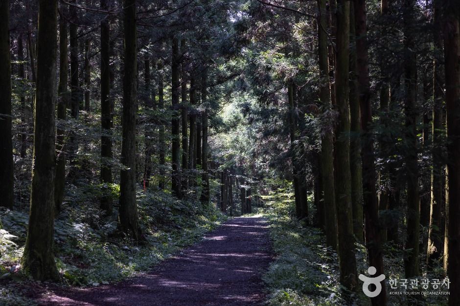 교래 삼다수마을