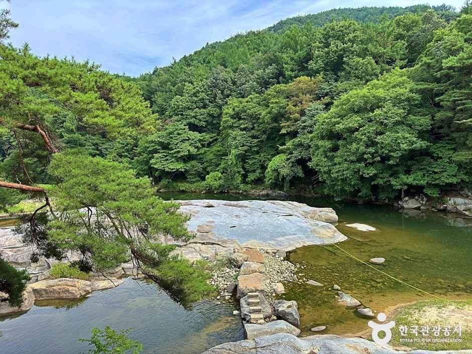 thumbnail-함양 동호정-12