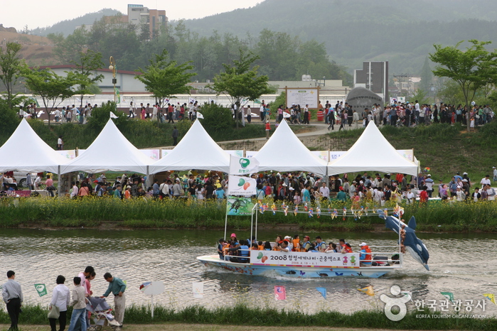 Hampyeong Butterfly Festival (함평 나비대축제) 