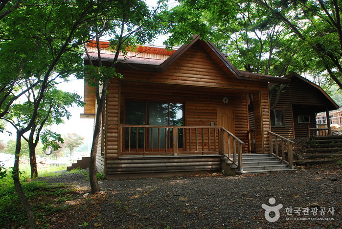 Jangnyeongsan Natural Forest (장령산자연휴양림)