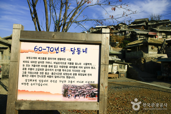 Suncheon Open Film Set 