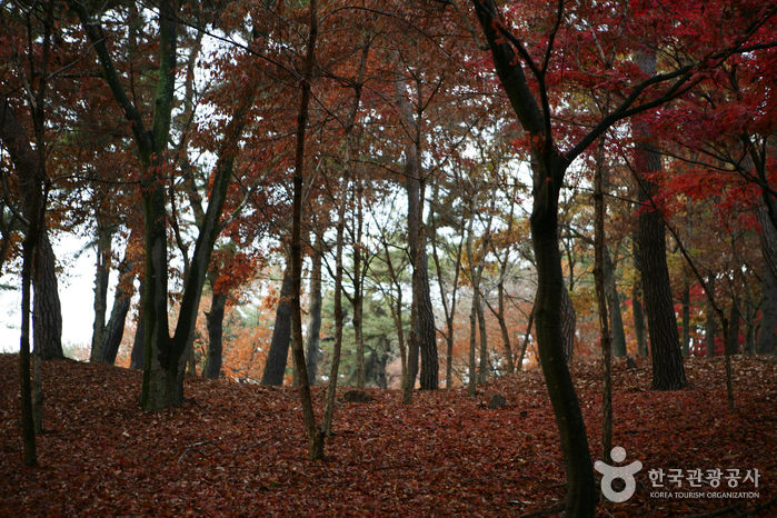 Busosanseong Fortress of Buyeo (부여 부소산성)