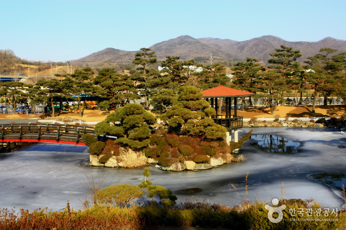 세종특별자치시0