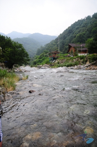 명지계곡 사진9