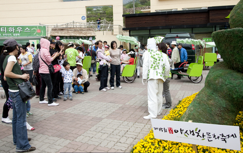 Hadong Wild Tea Cultural Festival (하동 야생차문화축제)