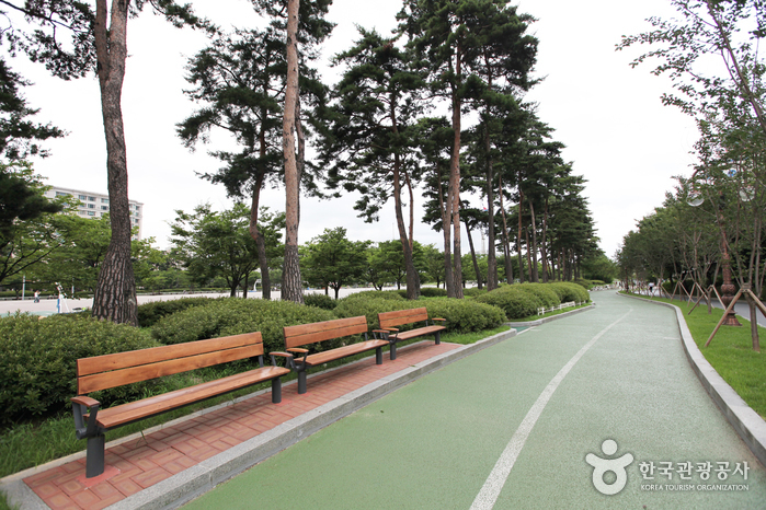 thumbnail-Yeouido Park (여의도공원)-2