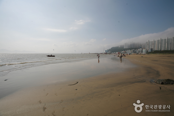 Dadaepo Beach (다대포해수욕장)
