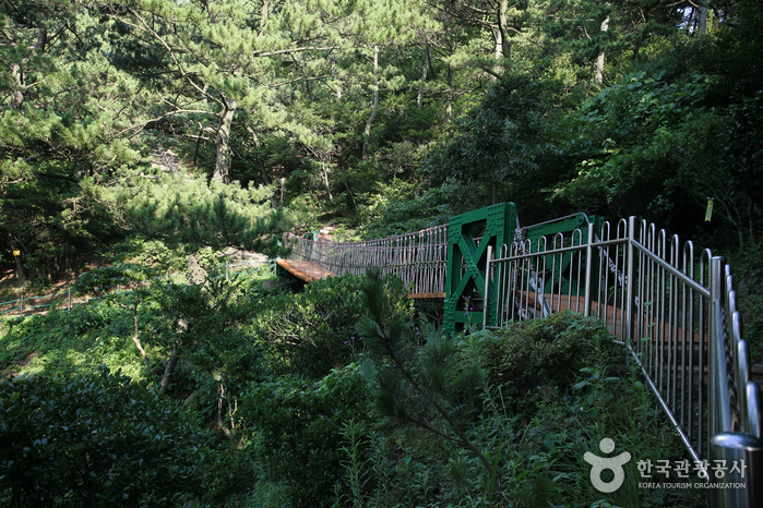 Parque Amnam de Busan (부산 암남공원)6