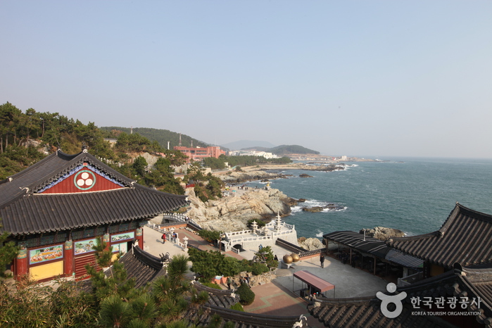 삼인삼색(三人三色) 취향대로…가덕도·을숙도·기장으로 출발!