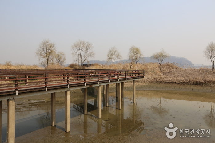 Parc écologique du marais de Gangseo (강서습지생태공원)