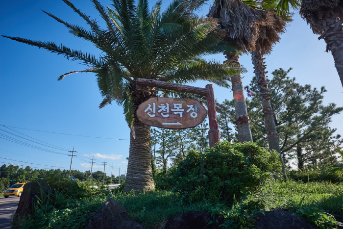thumbnail-Sinpung Sincheon Seaside Ranch (신풍 신천 바다목장)-0