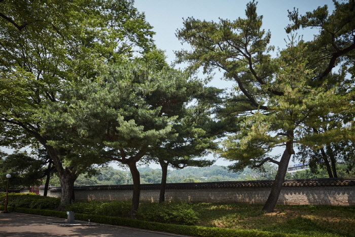 Parc Sajik à Séoul (사직공원(서울))6