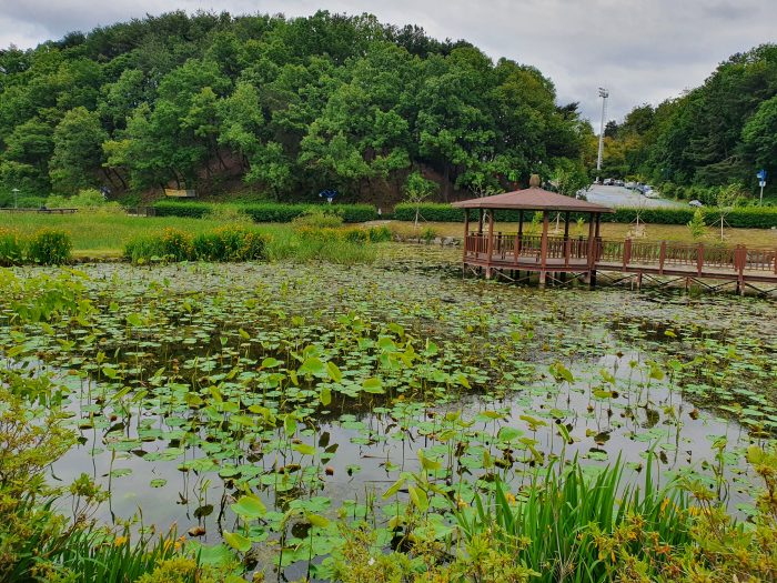 Parque del Lago Seonam (선암호수공원)