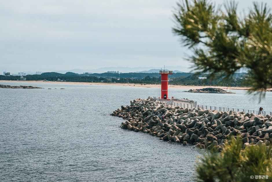 송지호 해안 서낭바위 (강원평화지역 국가지질공원)