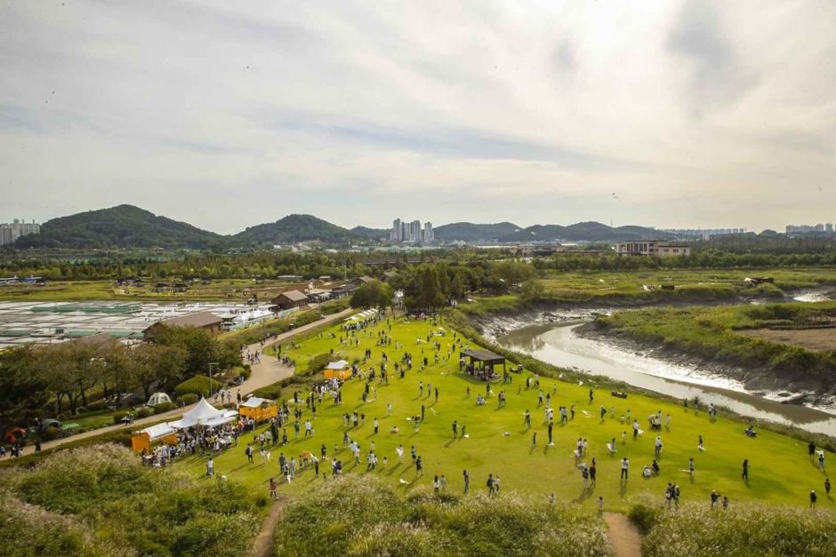 始興河溝生態節(시흥갯골축제)