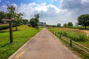 Yeongsangang River Bike Road (영산강 자전거길)
