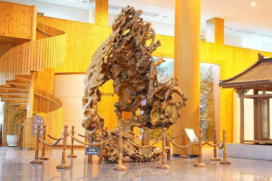 순창_전북특별자치도 산림박물관 (1)