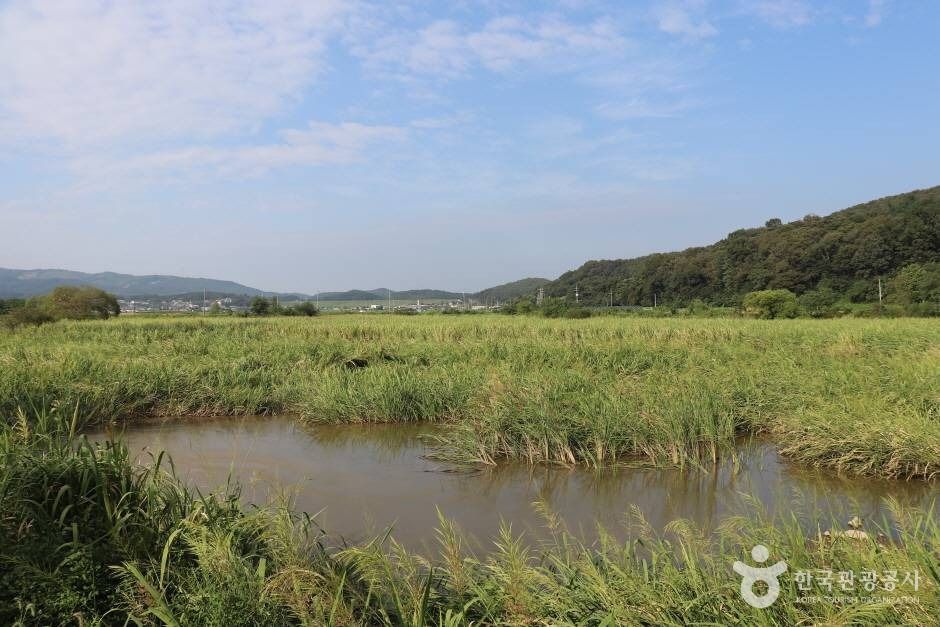 선두포저수지 (2)_e