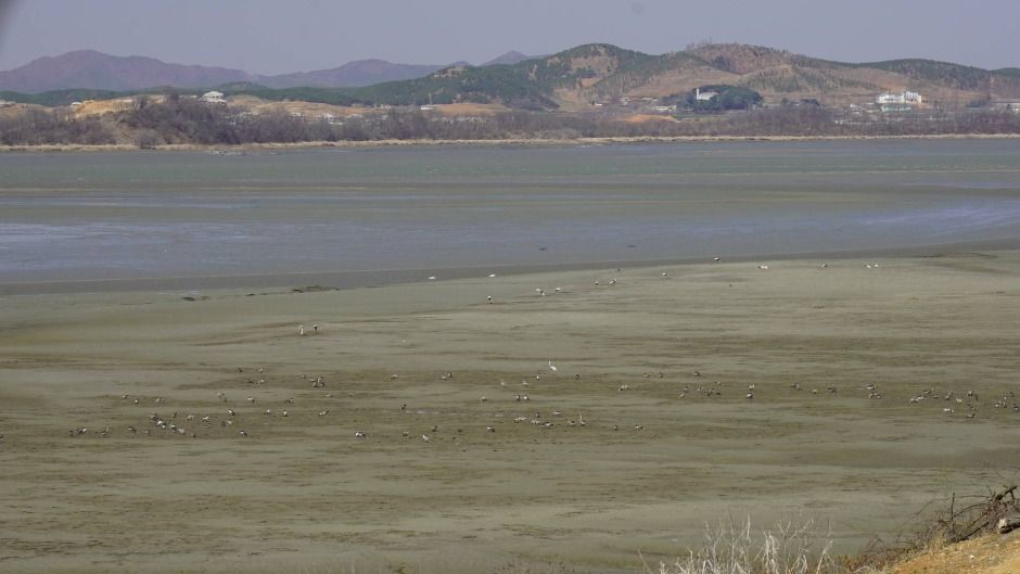 파주_파주 DMZ 생태연구소 (15)