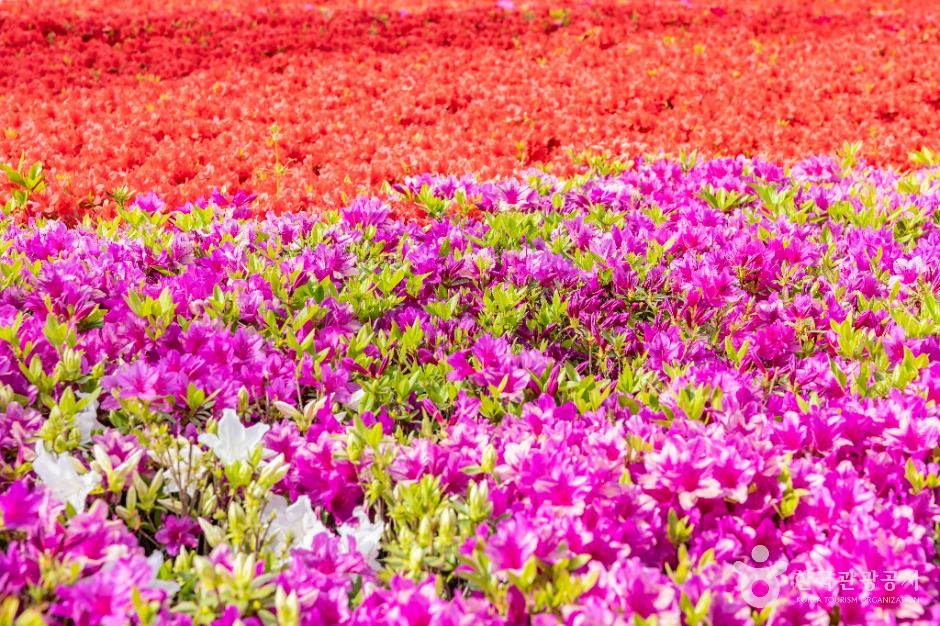 thumbnail-부산시민공원-20