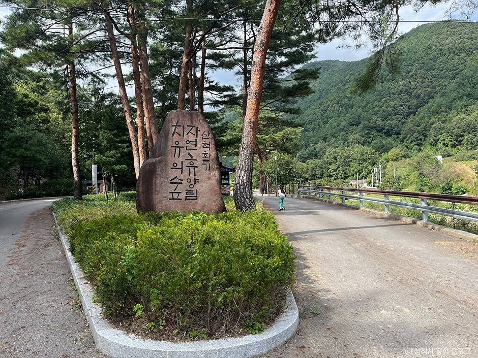 삼척 활기 치유의 숲