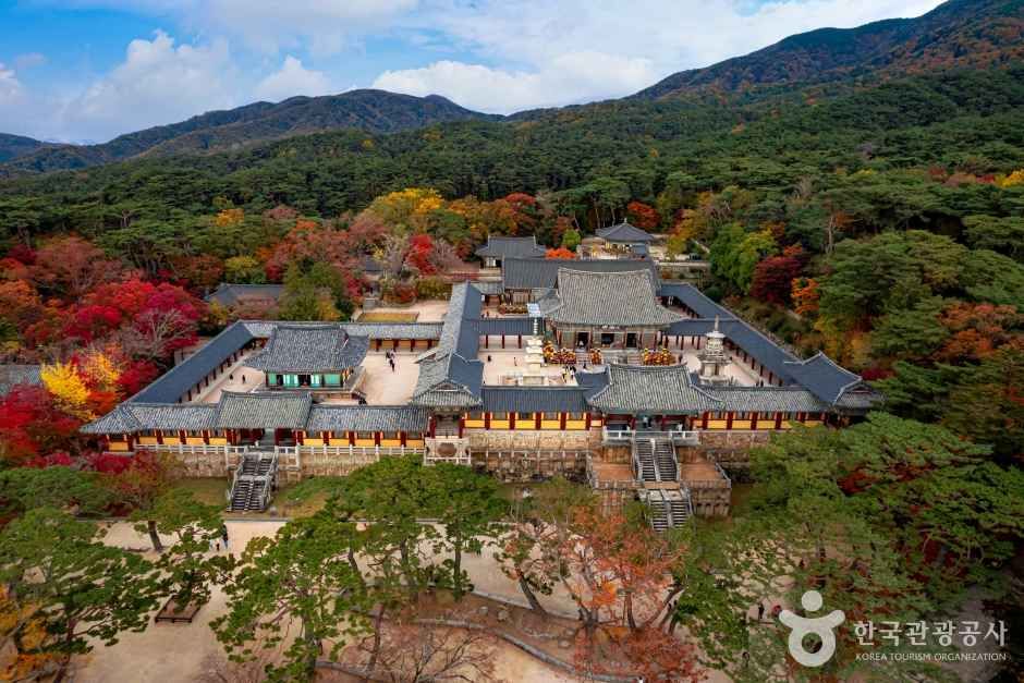 경주 불국사 [유네스코 세계유산]