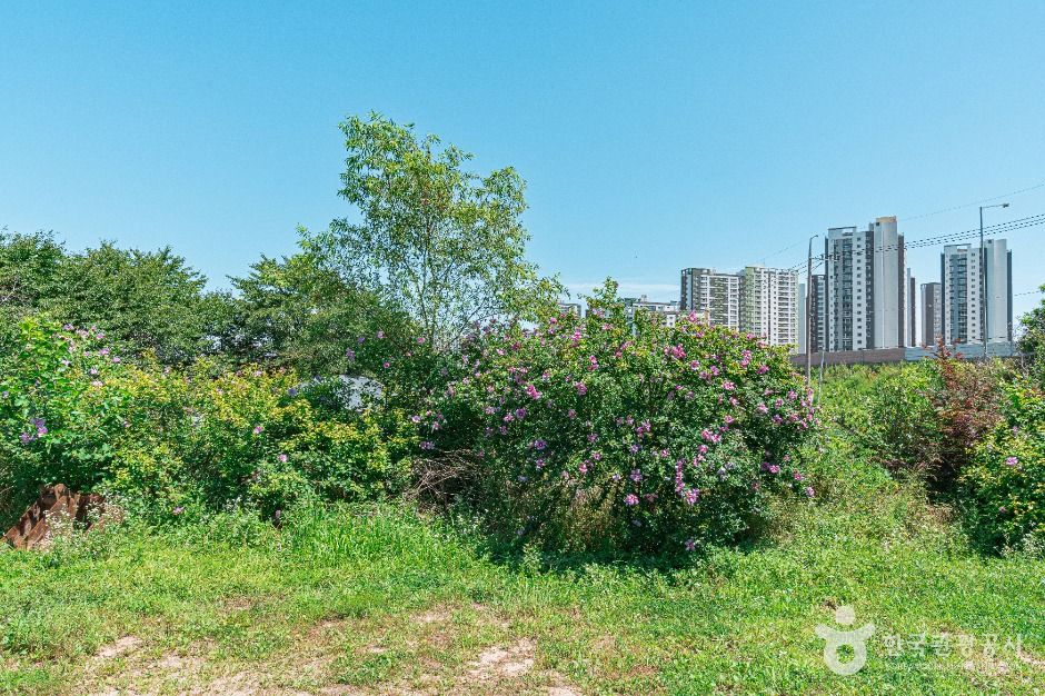 무궁화동산