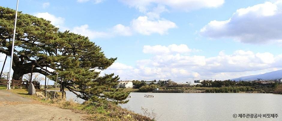 제주_수산봉 (2)