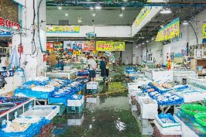 광주_서부농수산물도매시장 (3)