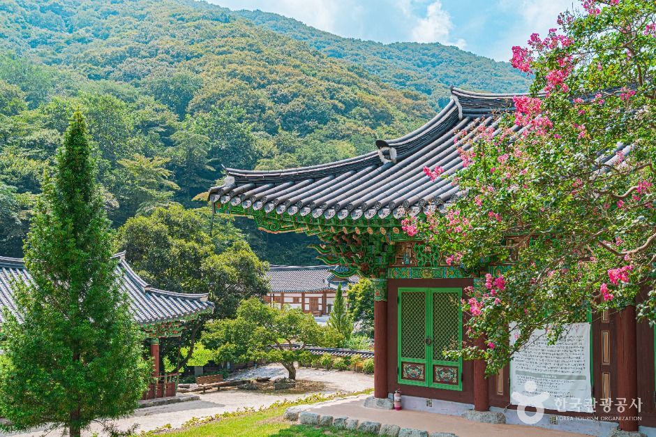나주_불회사(나주) (4)