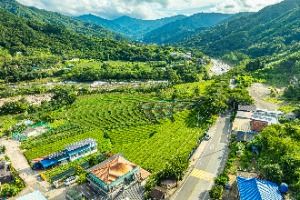 하동_삼신녹차마을 (5)