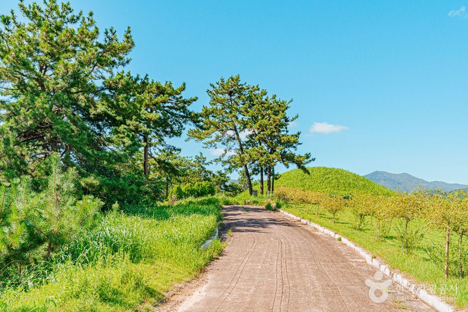 함평_함평예덕리고분군 (3)