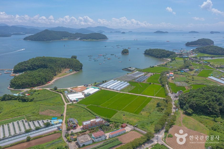 송천참다래마을