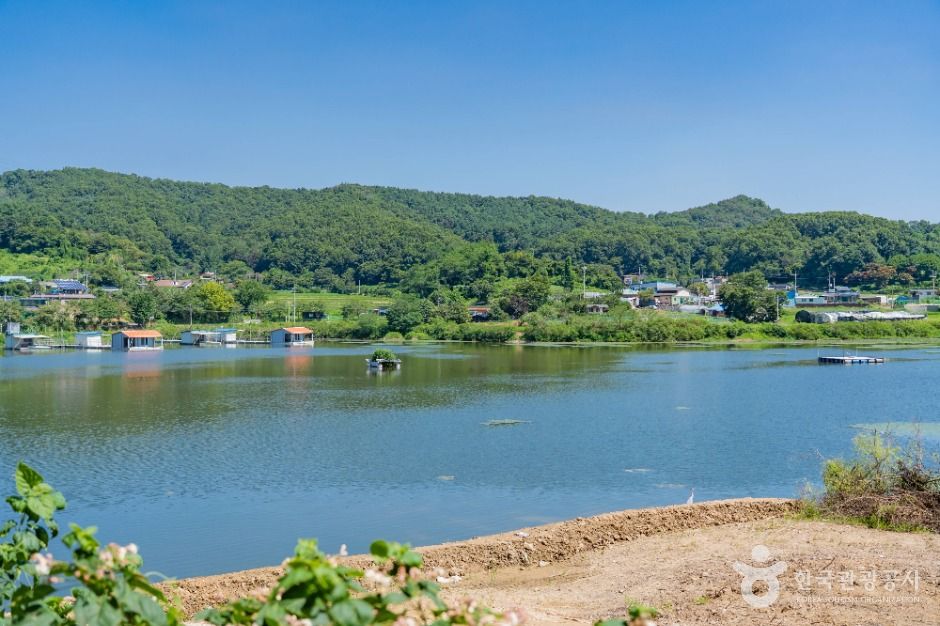 송라저수지