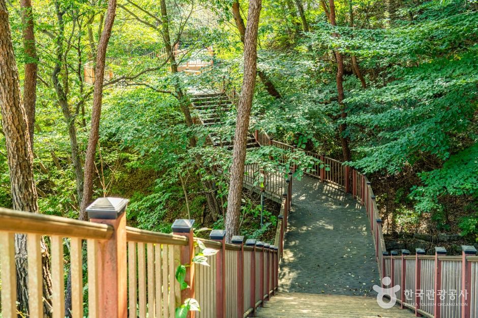 구재봉자연휴양림