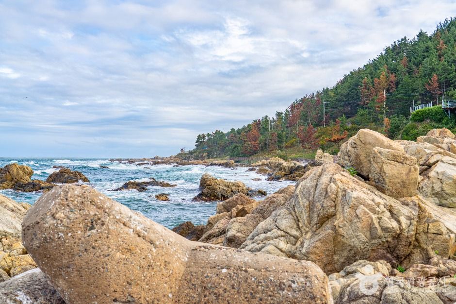 thumbnail-대진항(영덕)-2